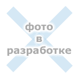 Л-и. Горбылёв С.А. на секции 